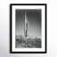 Cactus In Saguaro National Monument In Arizona by Ansel Adams-63616242-63616243