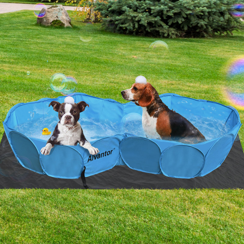 Blue Double Pet Swimming Pool with PVC Frame