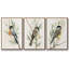 Tree Toppers I, ensemble de 3 toiles encadrées-97946479-97946482