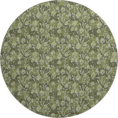 Premium Machine Washable Prisco Olive Rug