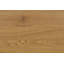 Aviyan Drum Coffee Table-1717235352