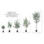 Olive artificielle en pot-748669065