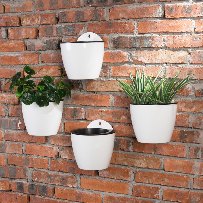 Wall Planter
