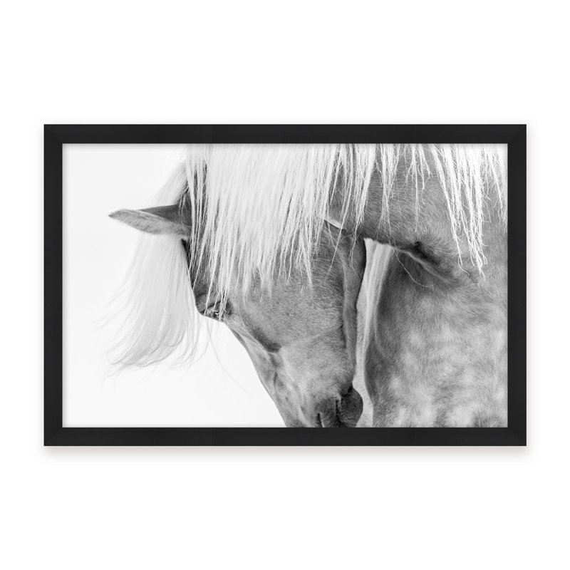 Nature Inspired Halflinger Portrait by  - Picture Frame Photograph on Paper, Framed Canvas, 32" H x 48" W x 2.375" D, White