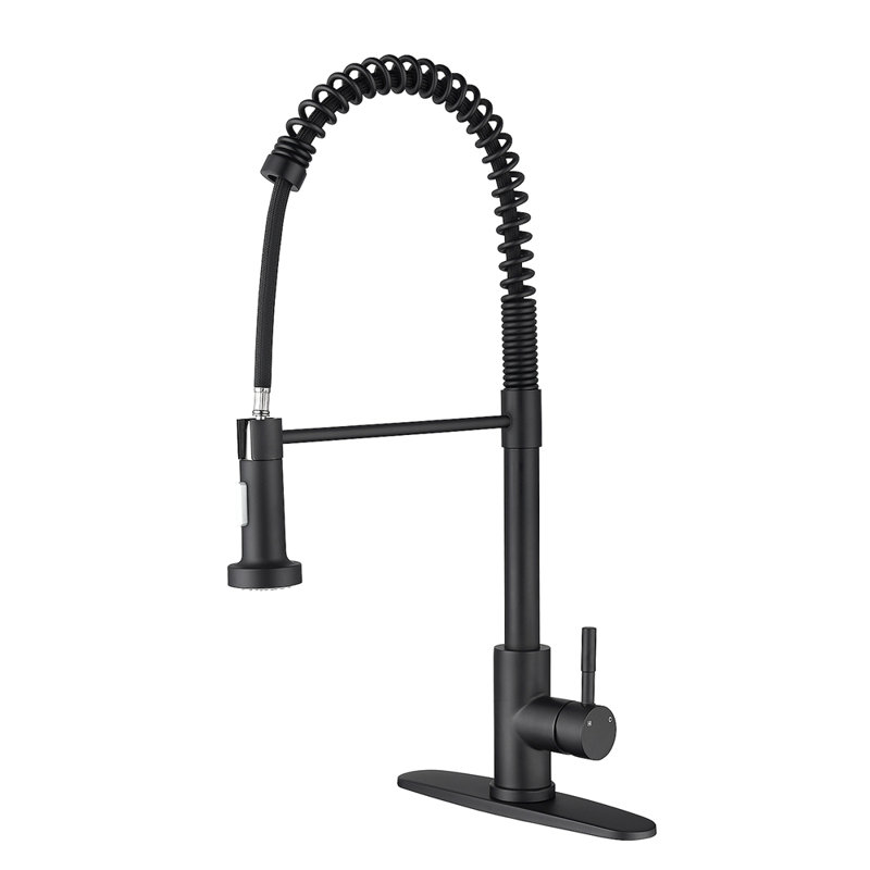 Robinet de cuisine avec douchette extractible