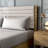 Casondra Upholstered Platform Bed-1330174905