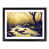 Black Framed selected