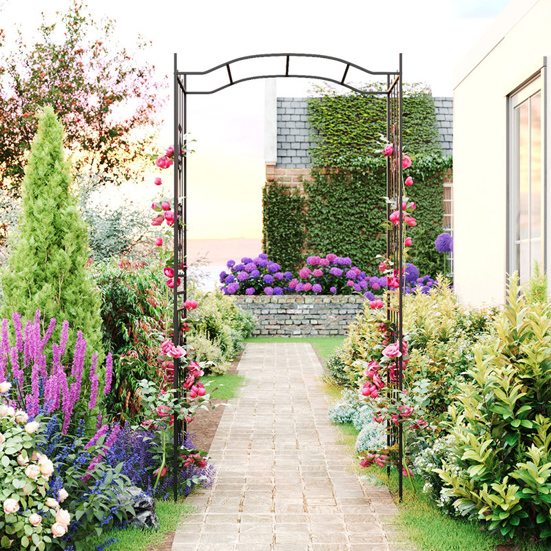 230cm H x 110cm W Iron, Metal Arched Trellis