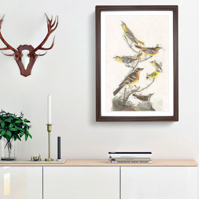 A Collection of Birds by John Audubon - Framed Print