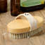 Ensemble de 2 brosses pour le corps Cheer Collection-124942511