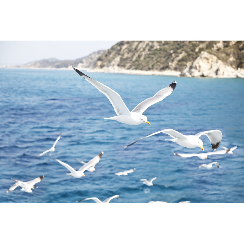 Mediterranean Sea by Remus Kotsell - Wrapped Canvas Print, 81cm H x 122cm W x 3.8cm D