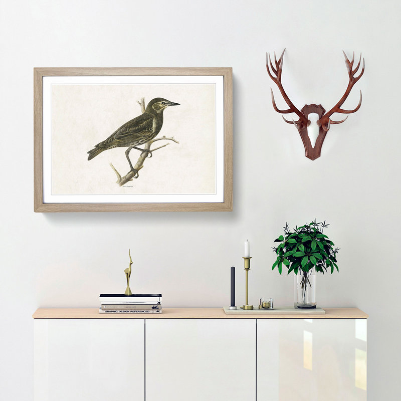 Starling by Von Wright - Framed Print, 48cm H x 65cm W x 2cm D, Oak Framed