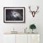 Blue Eyed Eurasian Eagle Owl Painting - Single Picture Frame Print on MDF-56633607-56633610
