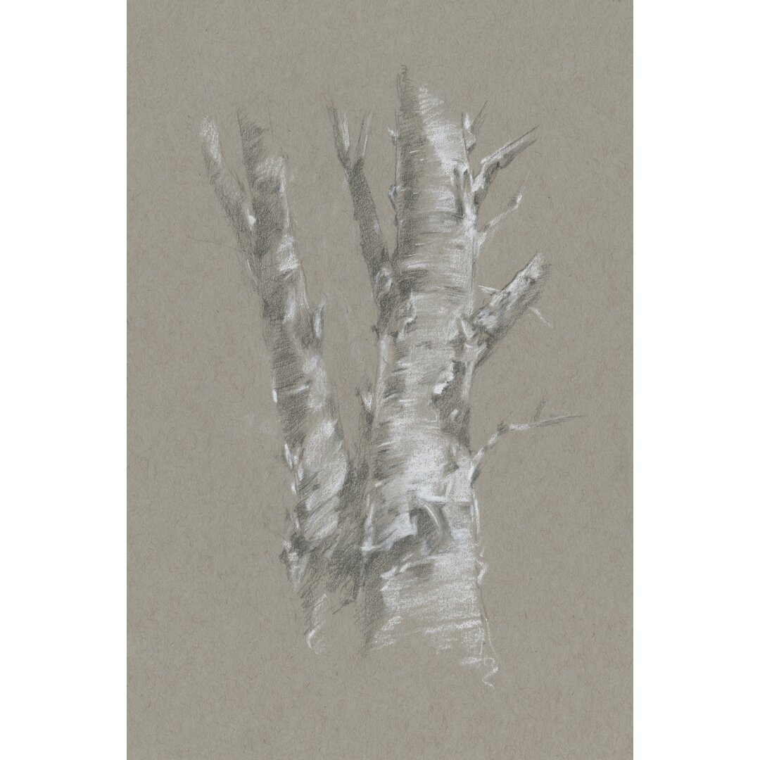 Leinwandbild Chalk Birch Study I von Ethan Harper