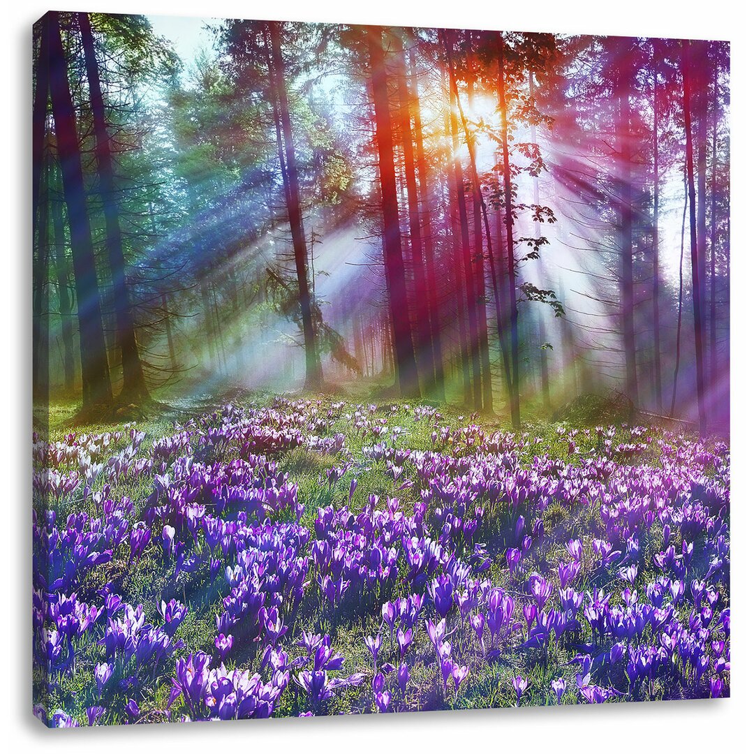 Leinwandbild Lavendel im Wald