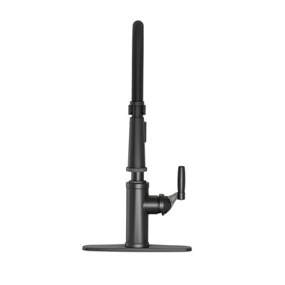 Vetta Pull Out Kitchen Faucet