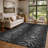 Machine Washable Indoor/Outdoor Chantille ACN2925 Animal Print Rug-1461895654-1461895655