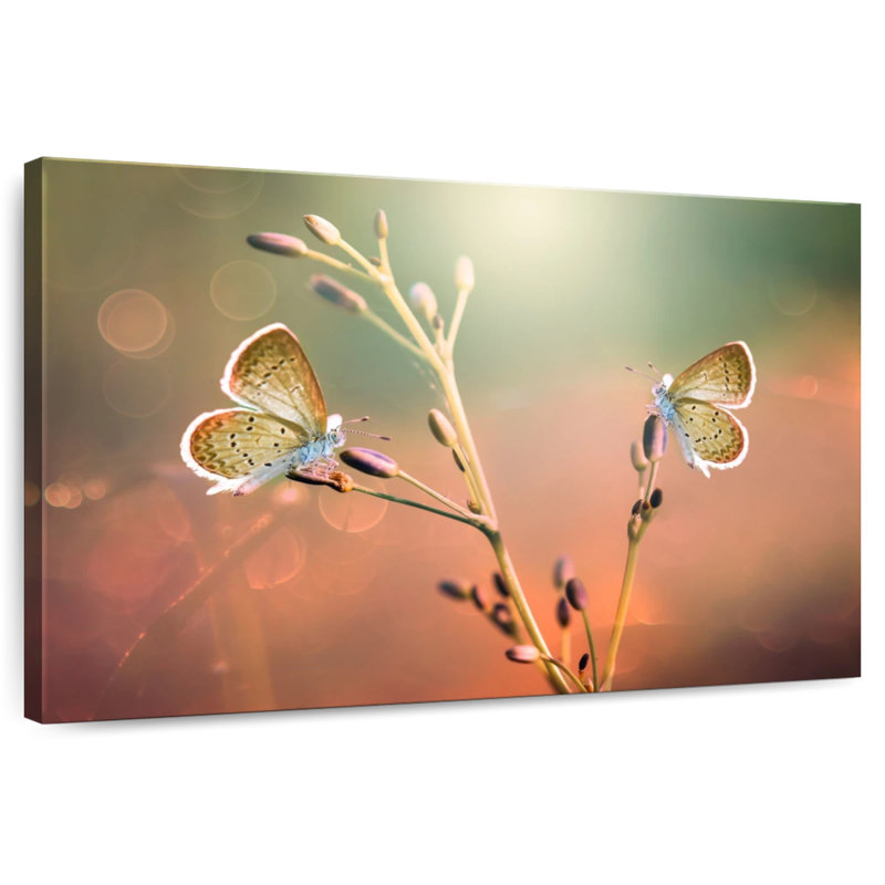 Brampt Butterfly Pair, 26" H x 39" W