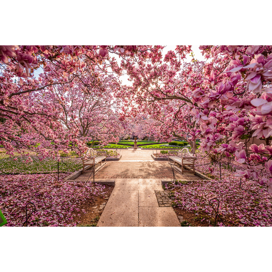 Leinwandbild Washington Dc Spring Flowers