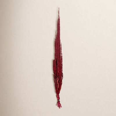 Preserved Amaranthus Stems