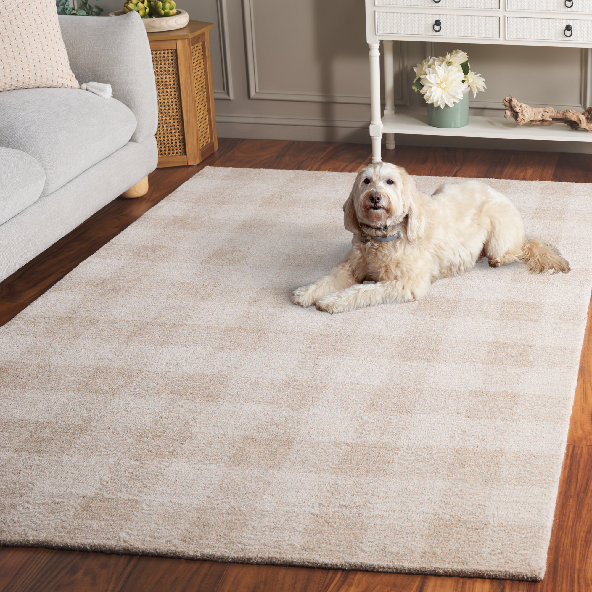 Genre 801 Hand Tufted 80% Wool; 18% Cotton; 2% Fiber Checkered Rug, Rectangle 5' x 8'