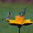 Ewalt Metal Pole Decorative Bird Feeder