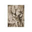 Buck Painting by Altamura Stefano-26938670-26938664