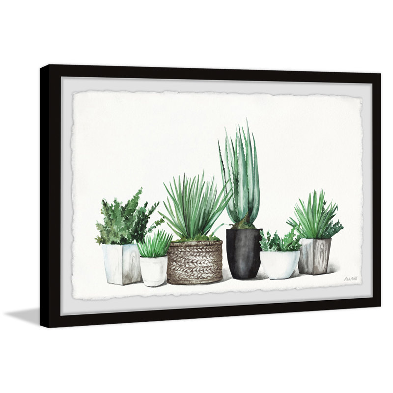 Assorted Succulents - Single Picture Frame Painting, 41 cm H  x 61 cm W