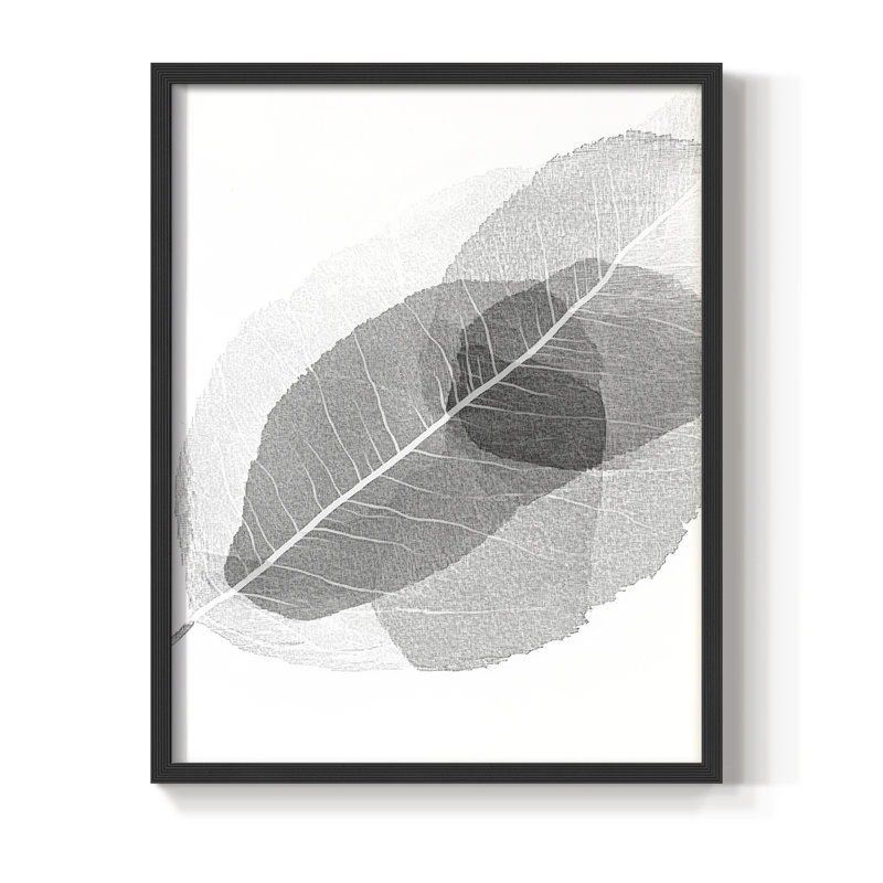 Imprimé floral Floral XL - prêt à être accroché , H 29 po x l 23 po, Noir, noir, noir, noir