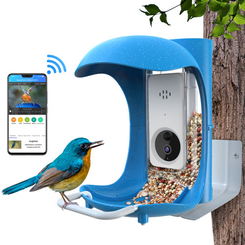 Mangeoire à Oiseaux Avec Caméra, Caméra 4K HD AI Identifier