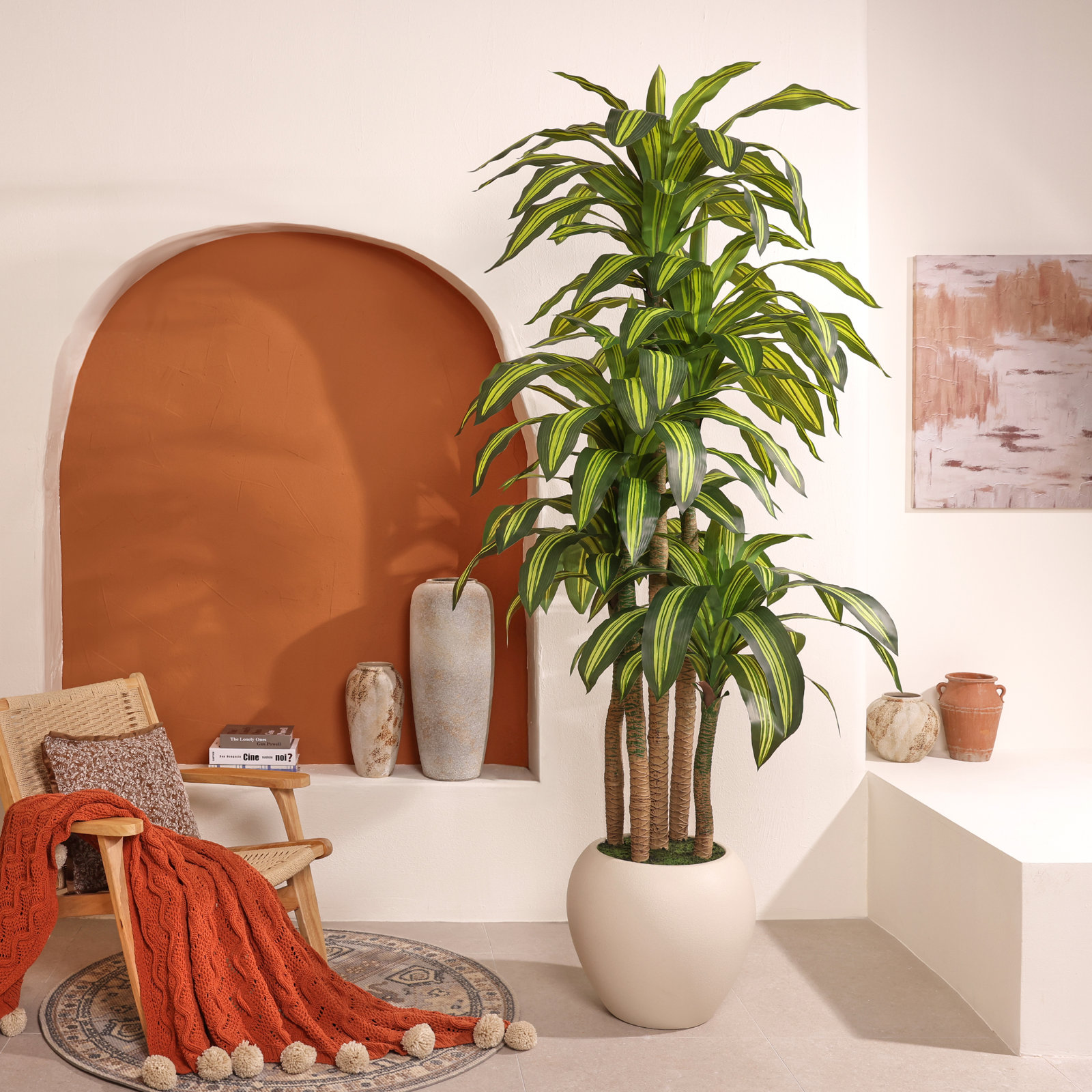 Romney Dracaena Tree in Planter, 96" H x 34" W
