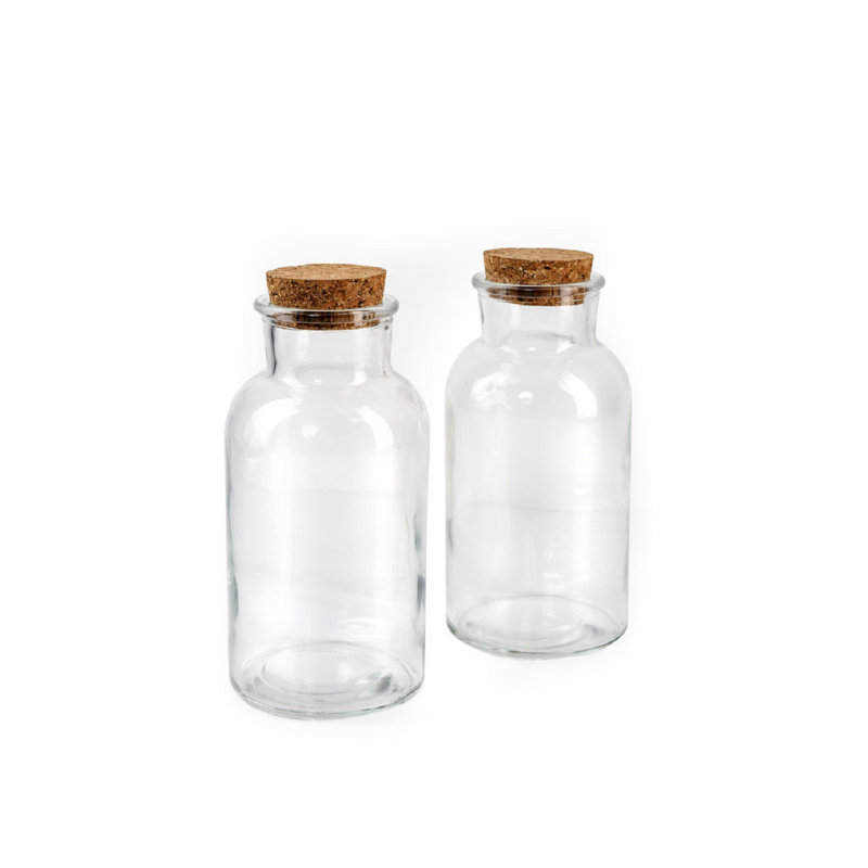 Ensemble de 2 bouteilles décoratives en verre transparent Pardue, H 8 po x l 4 po x P 4 po
