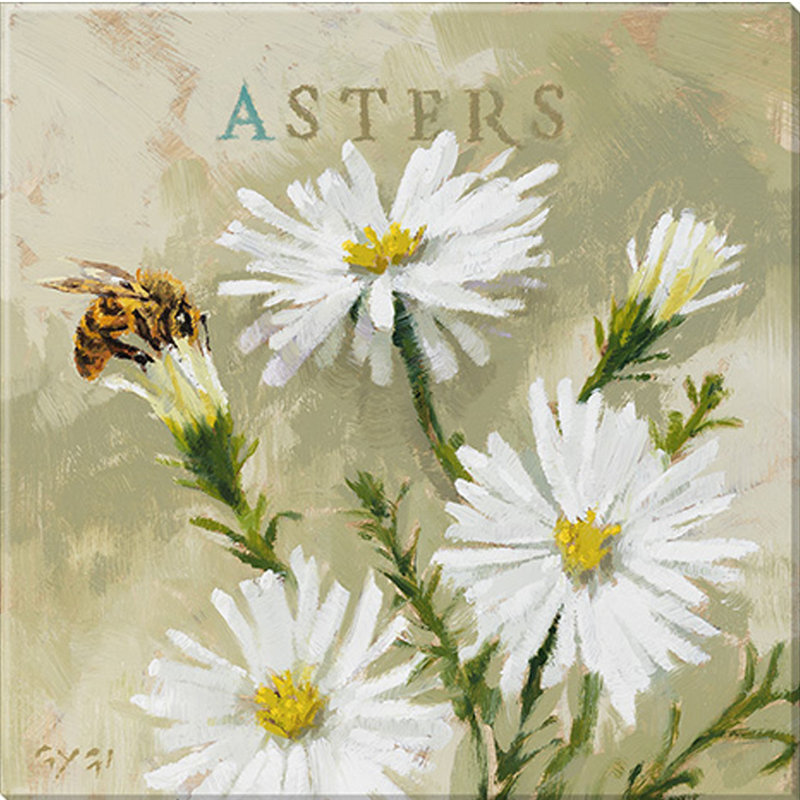" Aster Giclee Wall Art " by Darren Gygi, 20" H x 20" W x 1" D