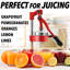 Presse-fruits manuel Zulay Kitchen - Presse-agrumes commercial robuste-40822181