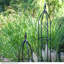 160cm H x 21cm W Metal Obelisk Trellis