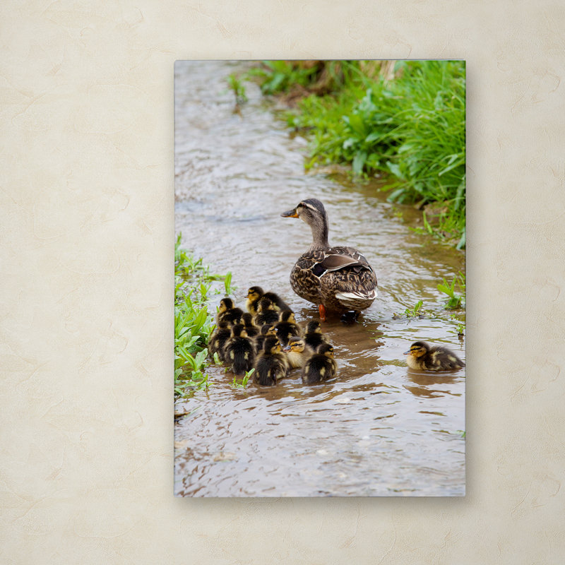 Baby Duck Family on Canvas Art in Light Brown Frame