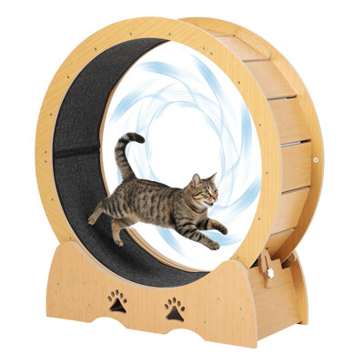 43 Inch Wooden Cat Exercise Wheel Quiet Treadmill with Paw Safe Base and Low Noise Rollers