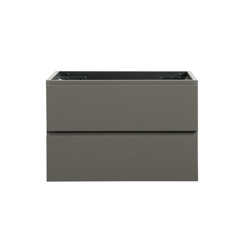 Armoire murale sans bassin en gris, mode deux tiroirs, révélation moderne et minimaliste, construction robuste, comportement de nettoyage facile, lavabo gris à montage mural, 2 styles,