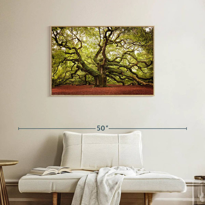 Chêne Charleston Angel, Cadre flottant en bois naturel, 37 po x 25 po