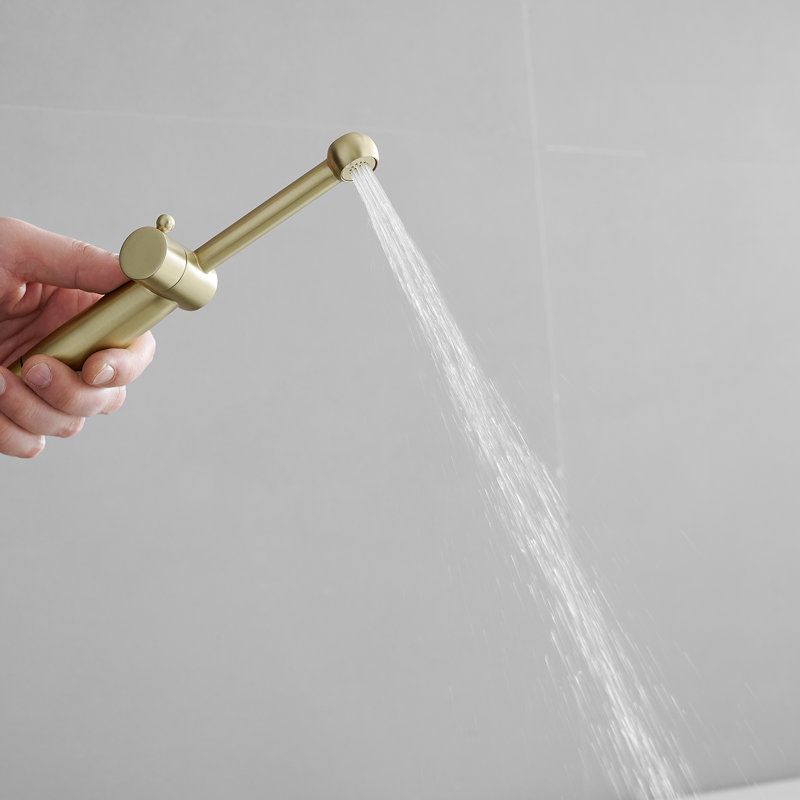 Hand Held Bidet, Brushed Gold