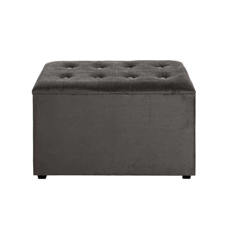 Sheehan 65cm W Velvet Tufted Rectangle Footstool with Storage, Anthracite