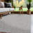 Nadene Gray Indoor Area Rug-479187698