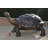 Giant Tortoise - Turtle bronze statue -  Size: 64"L x 36"W x 36"H.