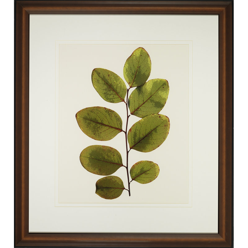 A Little Piece Of Nature VI Print