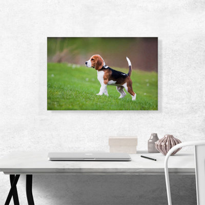 " Beagle Dog Breed "