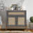 2 - Door Accent Cabinet-1103094742