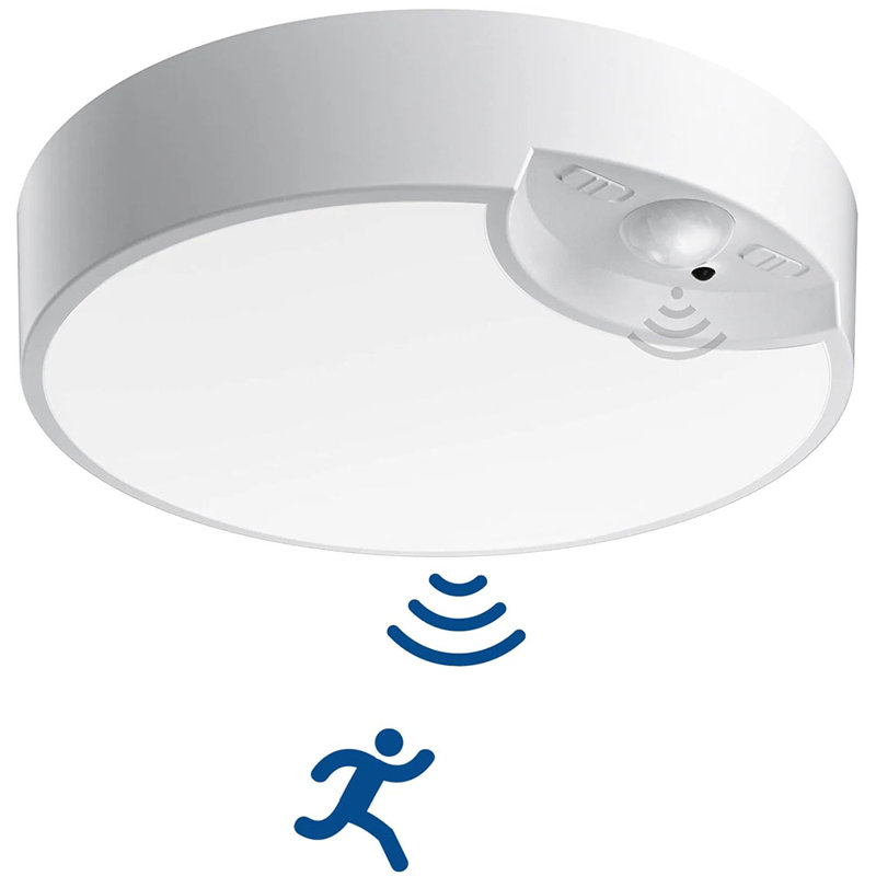Deyren LED Flush Mount