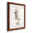 " Neutral Botanical Study I " 2 - Pieces-41835574-41835562-41803131