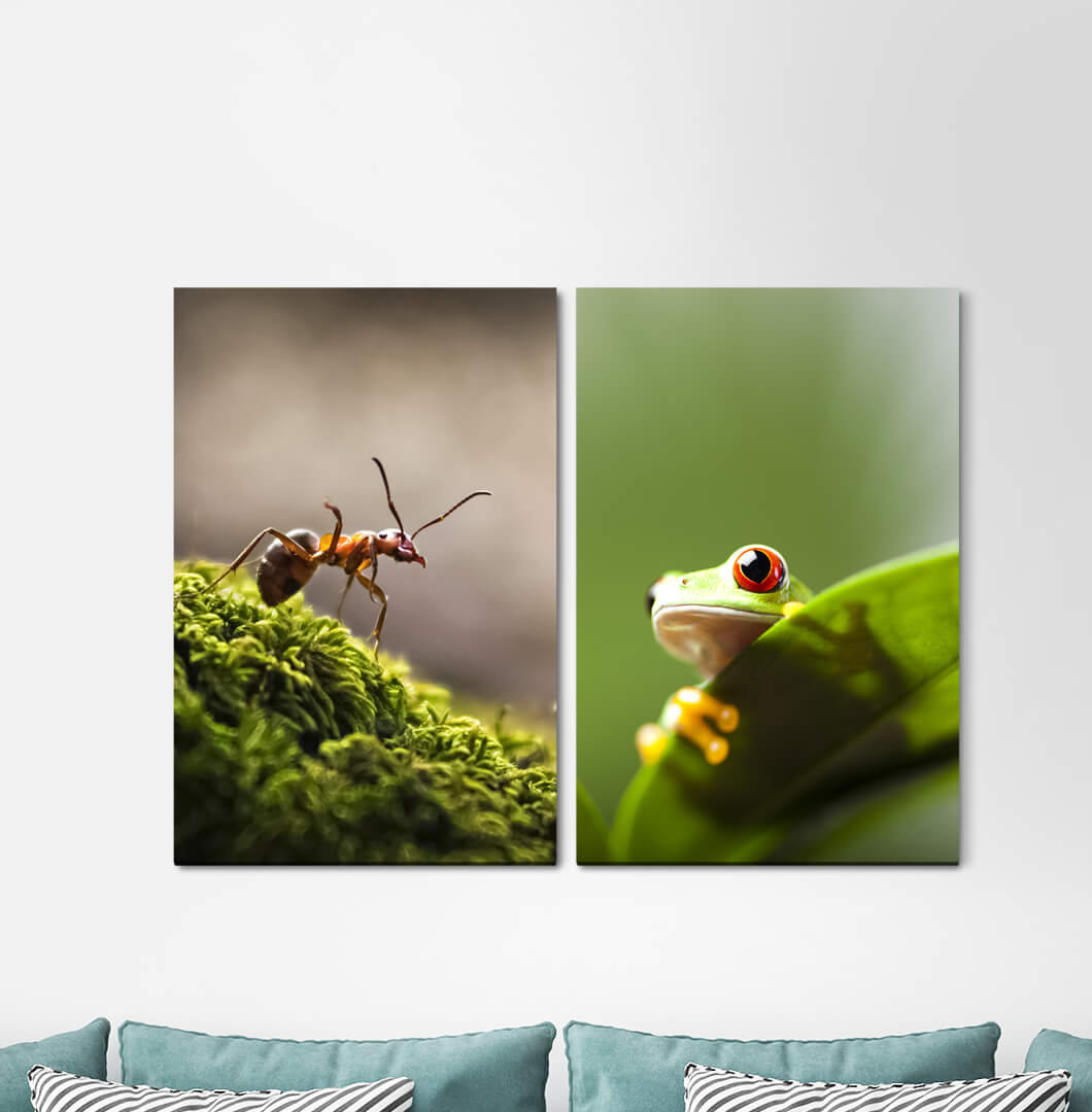 2-tlg. Leinwandbilder-Set - Fotografie „Ant Forest Forest Floor Frog Greengreen Leaf”