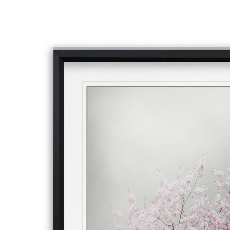 «Blossoms of Spring IV», reproduction de photo sur toile, H 17,5 po x l 17,5 po x P 1,5 po, Cadre noir